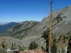 MineralKingLoop 287